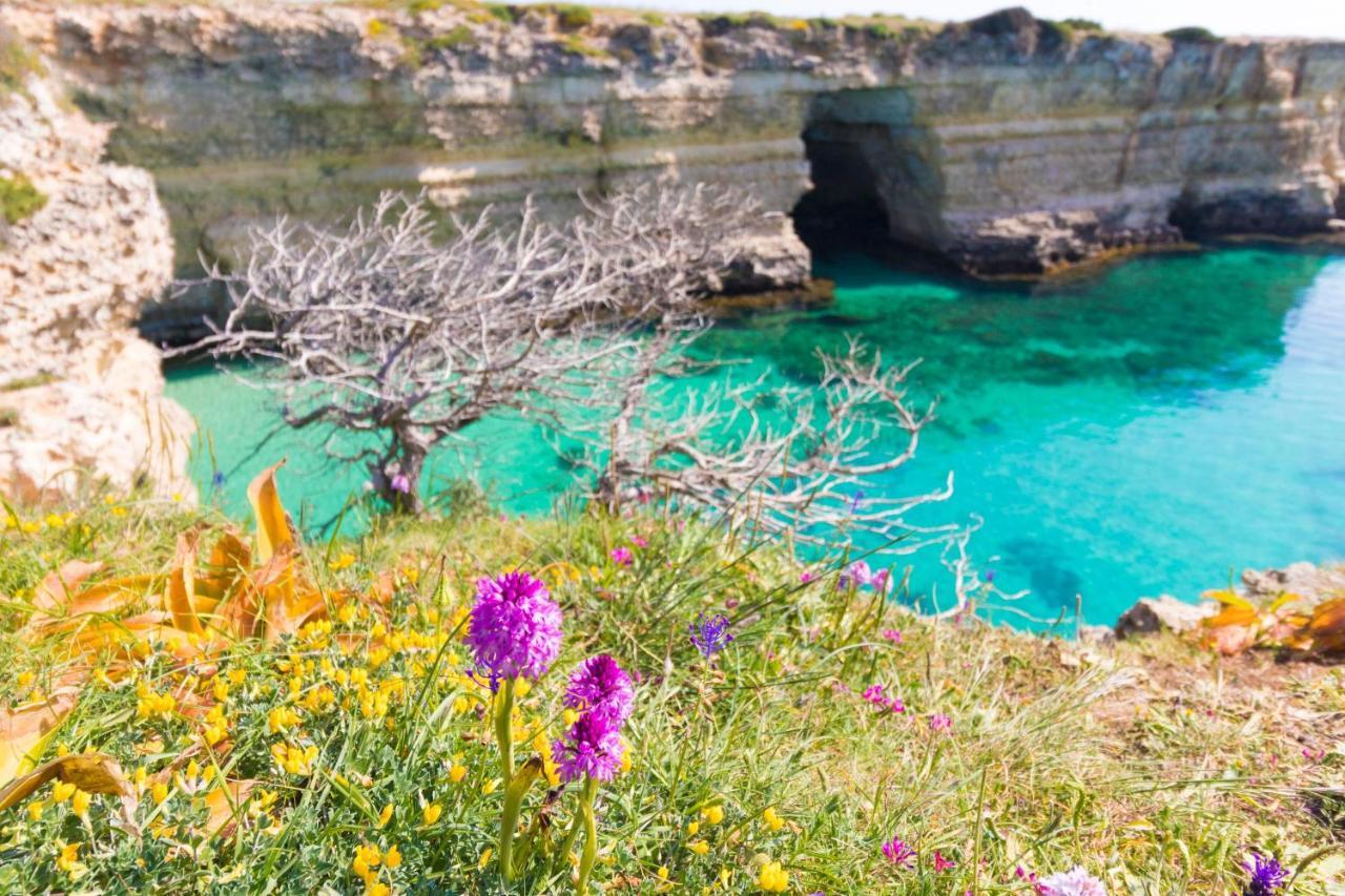 Casa Vacanze Frida In Salento Отранто Екстериор снимка
